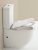 Унитаз BelBagno Sfera-R BB006CPR напольный безободковый с бачком BB006T